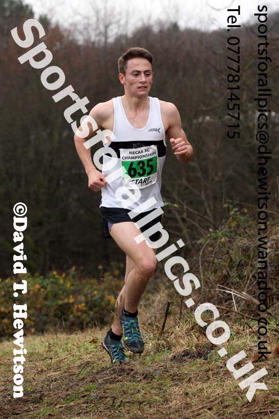 Mens under-20s North Eastern Cross Country, Aykley Heads, Durham. Photo: David T. Hewitson/Sports for All Pics